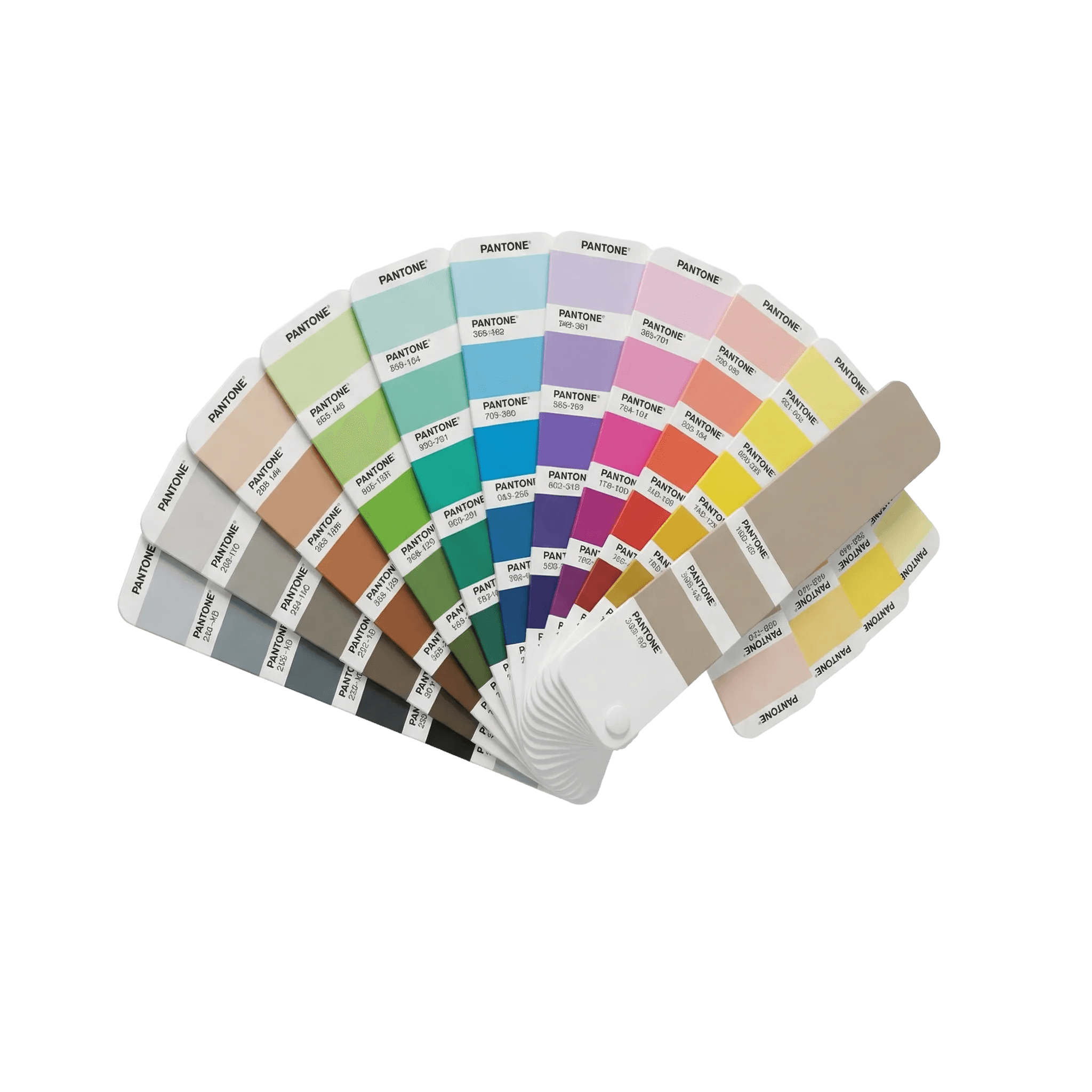 Asesoría en combinación de colores